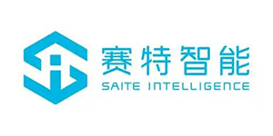 赛特只能